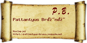 Pattantyus Brúnó névjegykártya